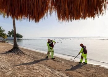 Retiran Más de 37 mil Toneladas de Sargazo en Playas de Cancún
