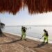 Retiran Más de 37 mil Toneladas de Sargazo en Playas de Cancún
