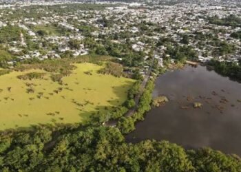 La Sabana de Chetumal sigue perdiendo terreno