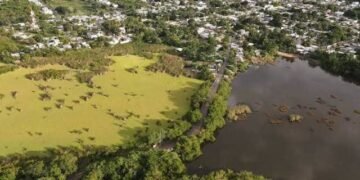 La Sabana de Chetumal sigue perdiendo terreno