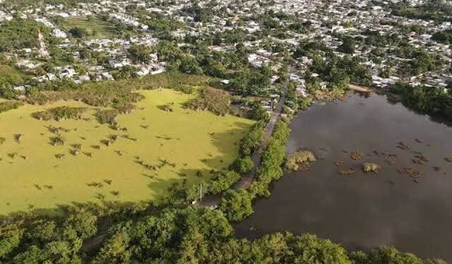 La Sabana de Chetumal sigue perdiendo terreno