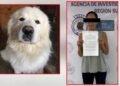 La Fiscalía busca la pena máxima en contra de la mujer que torturo a su mascota, en Saltillo