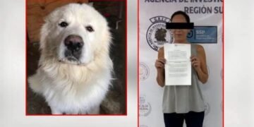 La Fiscalía busca la pena máxima en contra de la mujer que torturo a su mascota, en Saltillo