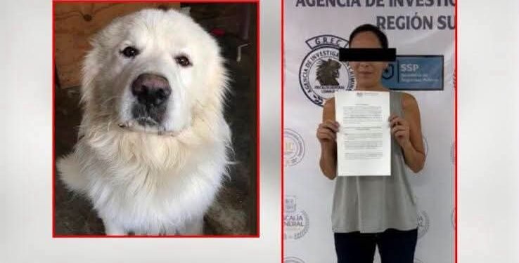 La Fiscalía busca la pena máxima en contra de la mujer que torturo a su mascota, en Saltillo