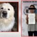 La Fiscalía busca la pena máxima en contra de la mujer que torturo a su mascota, en Saltillo
