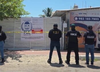 Cateo en Chetumal