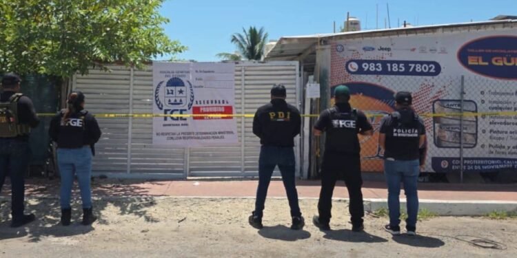 Cateo en Chetumal