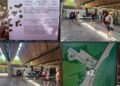 PARQUE DEL JAGUAR YA ES GRATUITO PARA NACIONALES