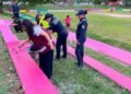 IMPULSAN RECUPERACIÓN DEL CAMPO HUNDIDO DE CHETUMAL