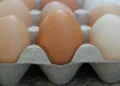 Ordenan retirar 19 millones en EE. UU. por brote de salmonela