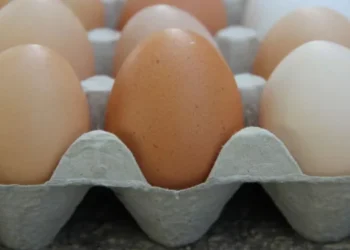 Ordenan retirar 19 millones en EE. UU. por brote de salmonela
