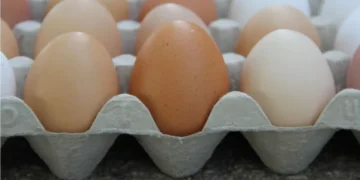 Ordenan retirar 19 millones en EE. UU. por brote de salmonela