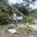 Clausuran tala irregular de árboles en Bacalar