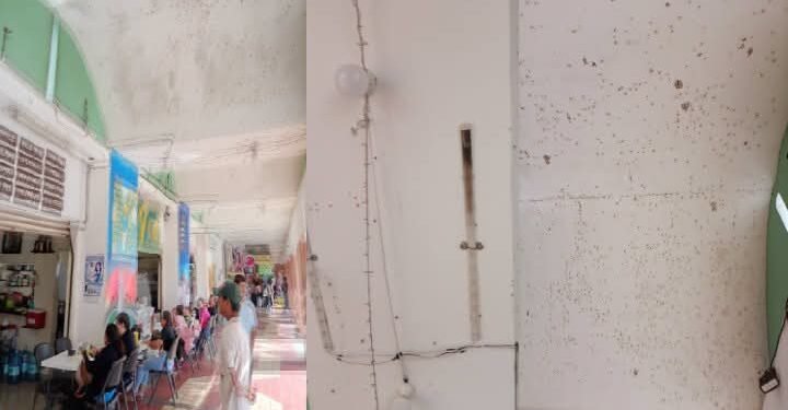 Mercado de Chetumal es foco de infección