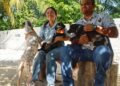 En el Día Mundial del Perro, llaman a la adopción responsable