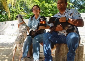 En el Día Mundial del Perro, llaman a la adopción responsable