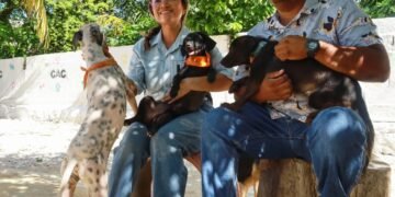 En el Día Mundial del Perro, llaman a la adopción responsable