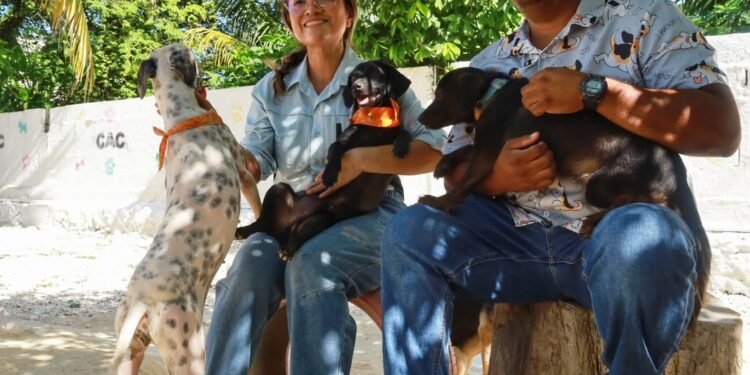 En el Día Mundial del Perro, llaman a la adopción responsable