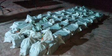 ASEGURAN VEHÍCULO CON MÁS DE 800 KILOS