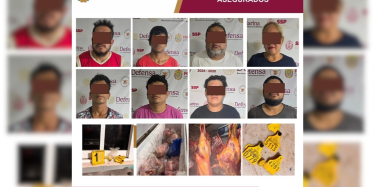 Ocho detenidos y diversos aseguramientos tras cateo por abigeato en Veracruz