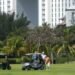Hoteleros se pronuncian contra el proyecto Península Cancún por posibles impactos ambientales