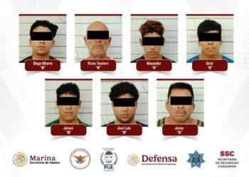 Desmantelan autoridades dos narcoviveros en Benito Juárez y Playa del Carmen; capturan a siete personas