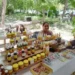 Bazar “Ruta de la Competitividad” llega a Cancún