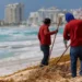 ¿De dónde viene el sargazo en Cancún?