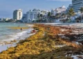Playas vacías y “olor insoportable”