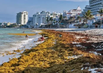 Playas vacías y “olor insoportable”