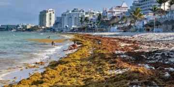 Playas vacías y “olor insoportable”