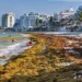 Playas vacías y “olor insoportable”