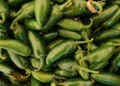 Cofepris responde a EU: Jalapeños mexicanos no están contaminados de salmonella