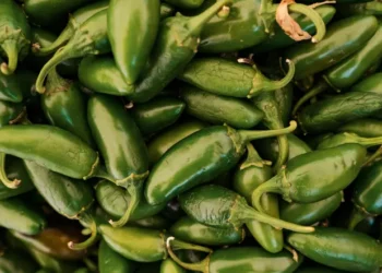 Cofepris responde a EU: Jalapeños mexicanos no están contaminados de salmonella