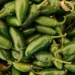 Cofepris responde a EU: Jalapeños mexicanos no están contaminados de salmonella