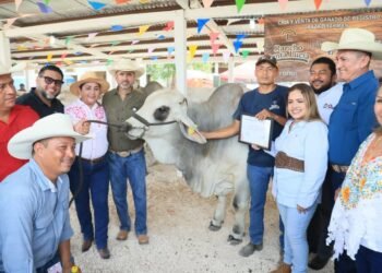 Entrega SEDARPE apoyo para ganaderas y ganaderos del municipio de Bacalar