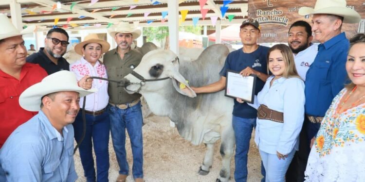 Entrega SEDARPE apoyo para ganaderas y ganaderos del municipio de Bacalar
