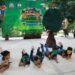 AVENTURA PAYO OBISPO ACERCA A NIÑAS Y NIÑOS AL CUIDADO DE LA FAUNA
