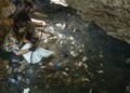 Alerta por presencia de agua contaminada en Quintana Roo y Yucatán