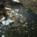 Alerta por presencia de agua contaminada en Quintana Roo y Yucatán