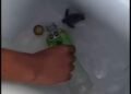 Piden castigo contra jóvenes que torturaron a tortugas recién nacidas en Playa Del Carmen