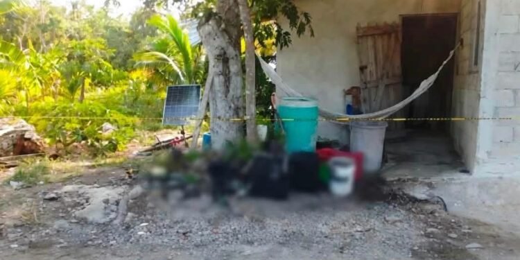 Abuelito muere tras ser atacado y quemado por su nieto en Chetumal