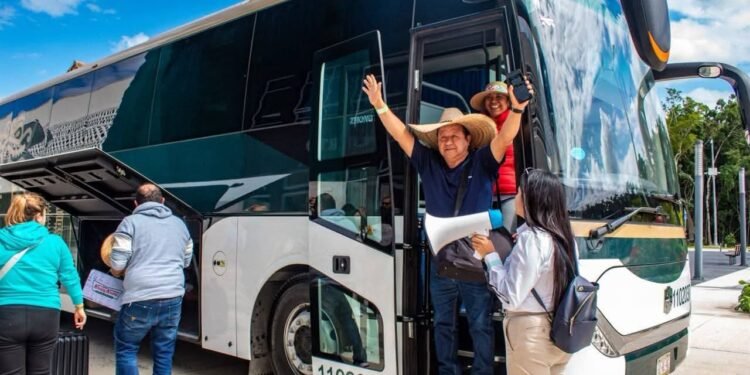 Regresa la ruta Cancún–Playa del Carmen del Tren Maya