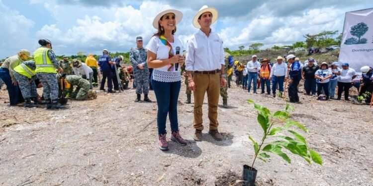 Mara Lezama suma a Quintana Roo al Programa Nacional de Reforestación