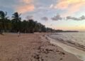 PLAYA DEL CARMEN MANTIENE LIMPIEZA PERMANENTE DE ARENALES