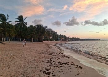 PLAYA DEL CARMEN MANTIENE LIMPIEZA PERMANENTE DE ARENALES