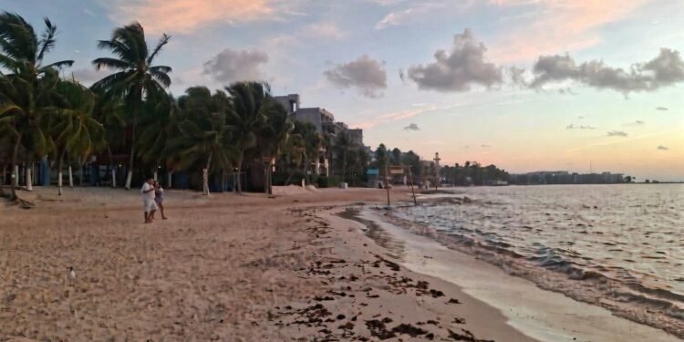 PLAYA DEL CARMEN MANTIENE LIMPIEZA PERMANENTE DE ARENALES