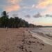 PLAYA DEL CARMEN MANTIENE LIMPIEZA PERMANENTE DE ARENALES