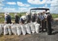 Menonitas producían carbón con madera de especie amenazada en Campeche