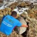 Muerte de tortuga marina en Mahahual